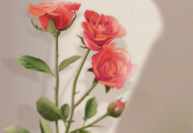 祝天下女神們節(jié)日快樂(lè)！??！